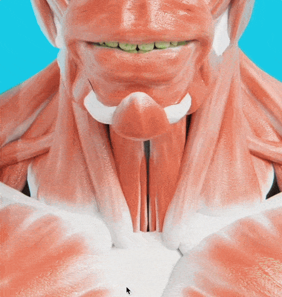 The Damage Is Already There